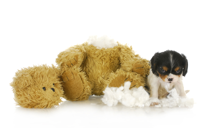 Find Freedom from the Mess with Experienced Clutter Removal and Hoarder Clean Up